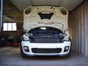 07-04-28_09 - Pepper White R56 MINI at Home.JPG